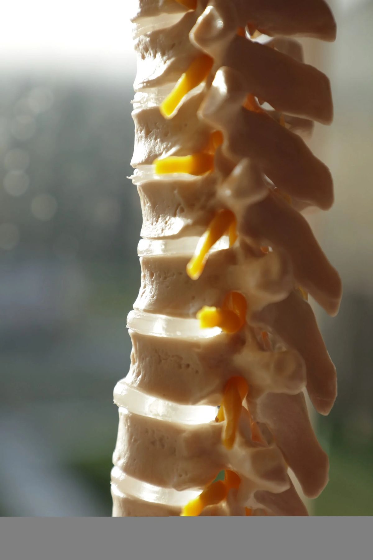 Back & neck pain